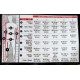 EPSEALON SHADOW 3 MM ( JARSE ) DALIŞ KIYAFETİ